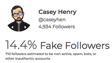 Fake Followers Audit